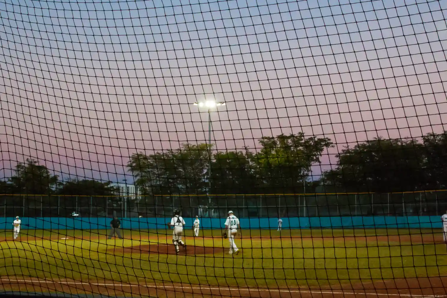 Project Overview Image