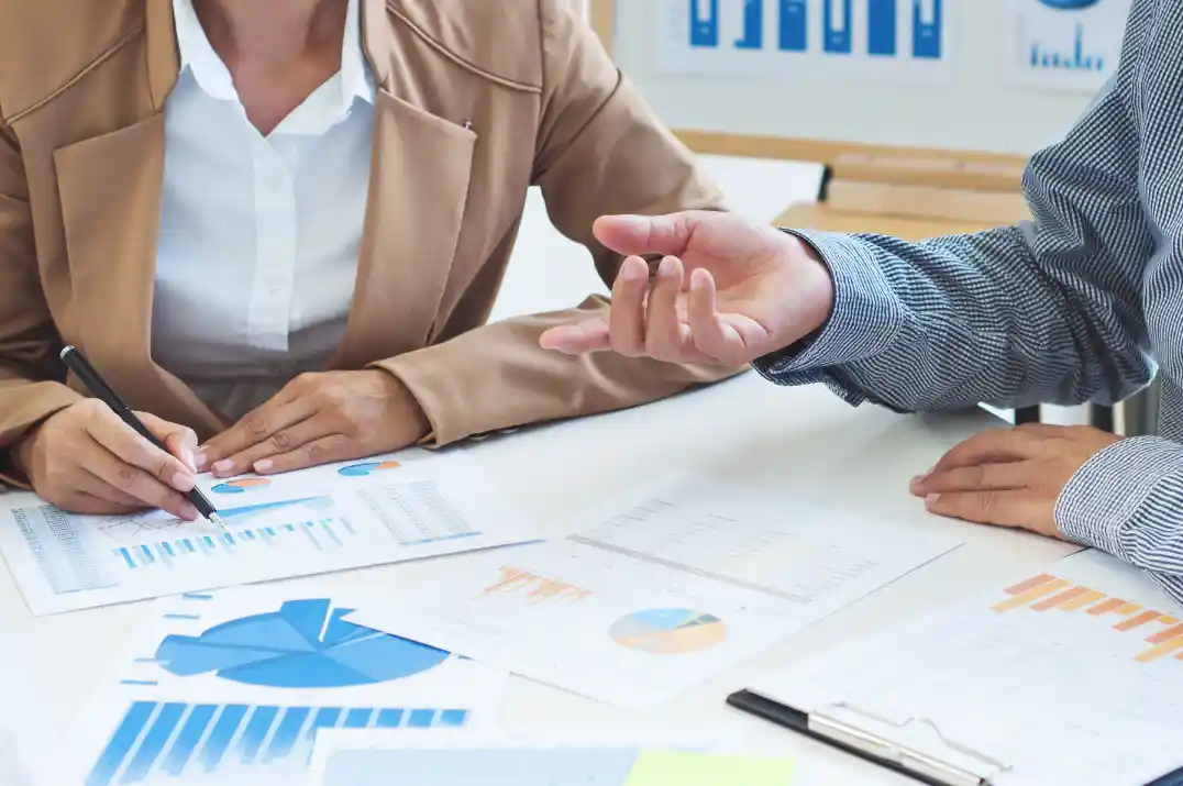 Project Overview Image